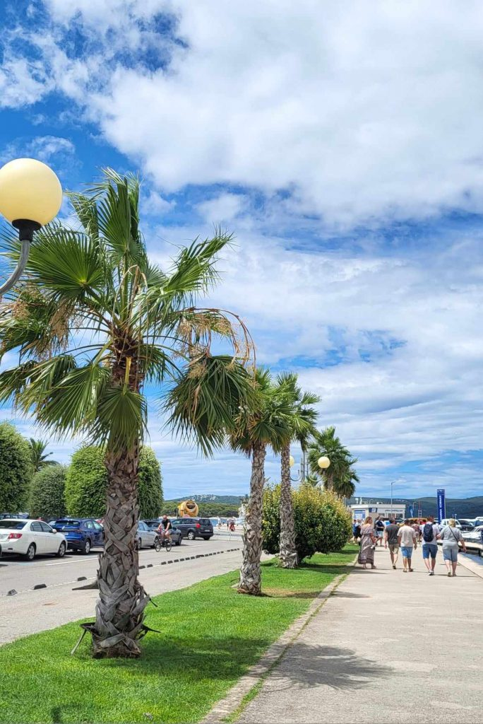 Promenada z palmami w Biogradzie na Moru, prowadząca wzdłuż nabrzeża