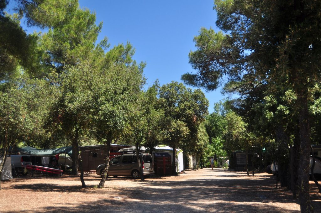 Parcele kempingowe wśród drzew i zaparkowanych samochodów na campingu Soline