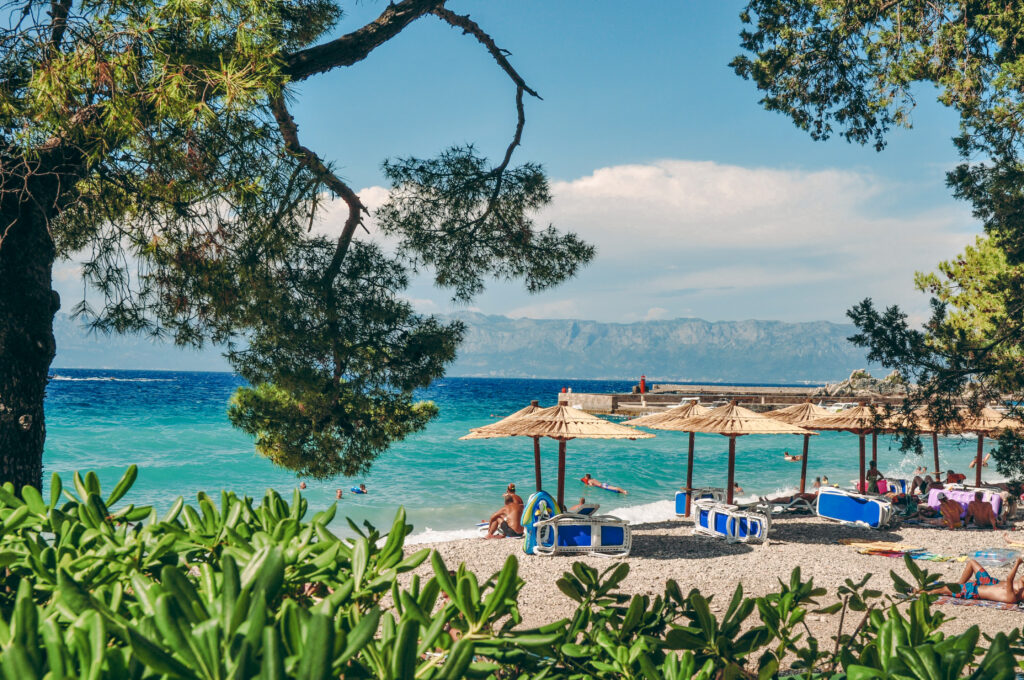 Plaża nad Adriatykiem z turkusową wodą, sosnami i górami w tle – Chorwacja
