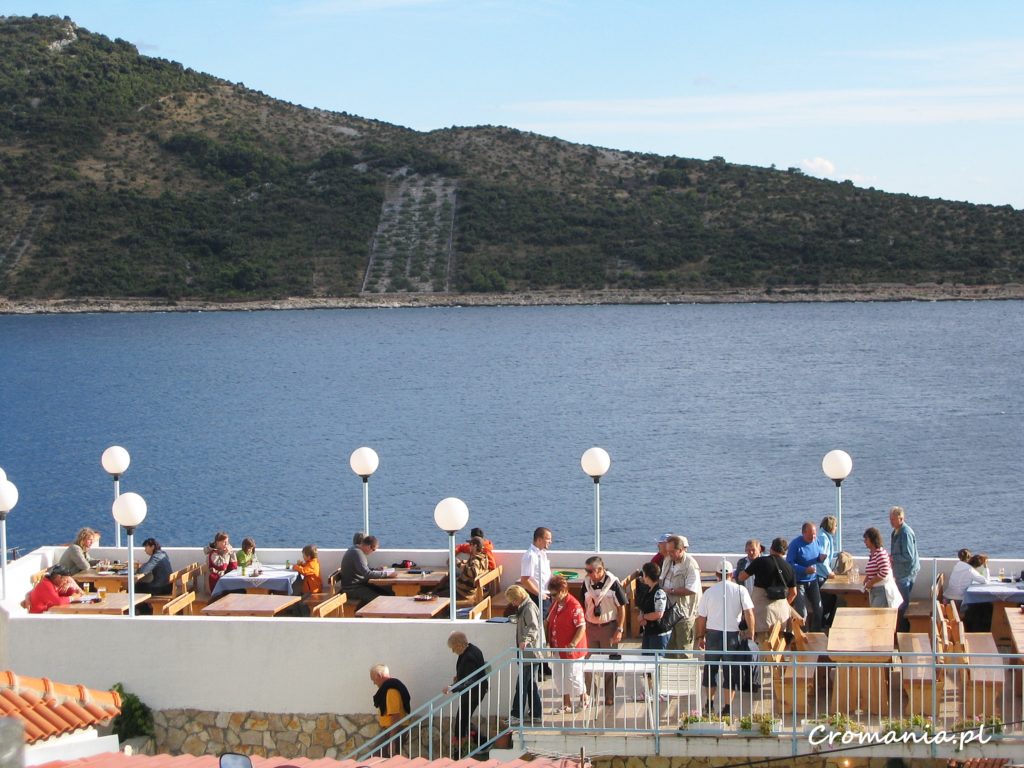 IMG 0026 1
