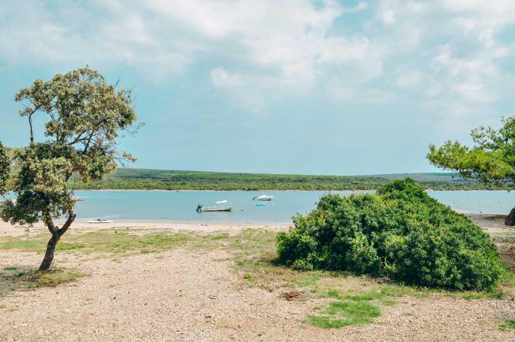 DSC 0898