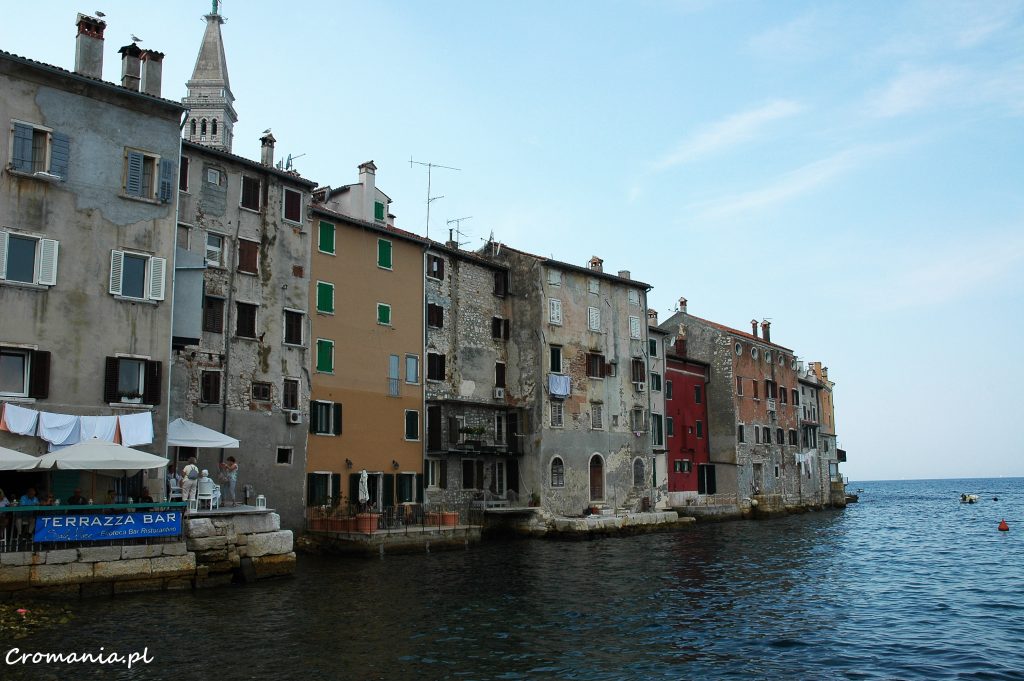 DSC 7334